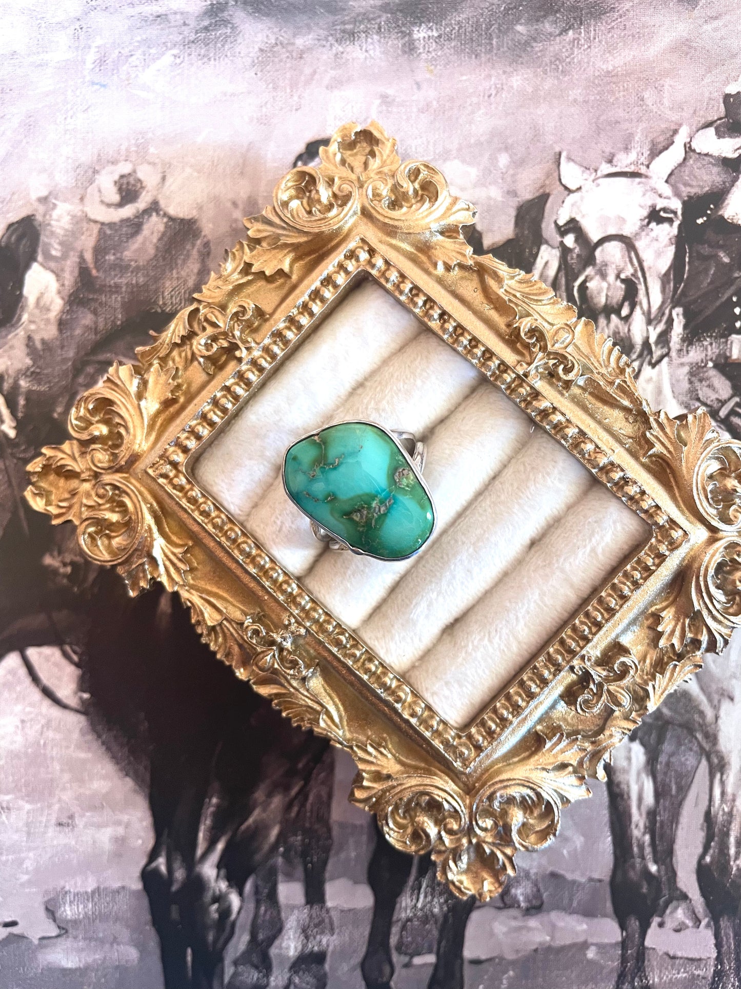 Sonoran double band ring