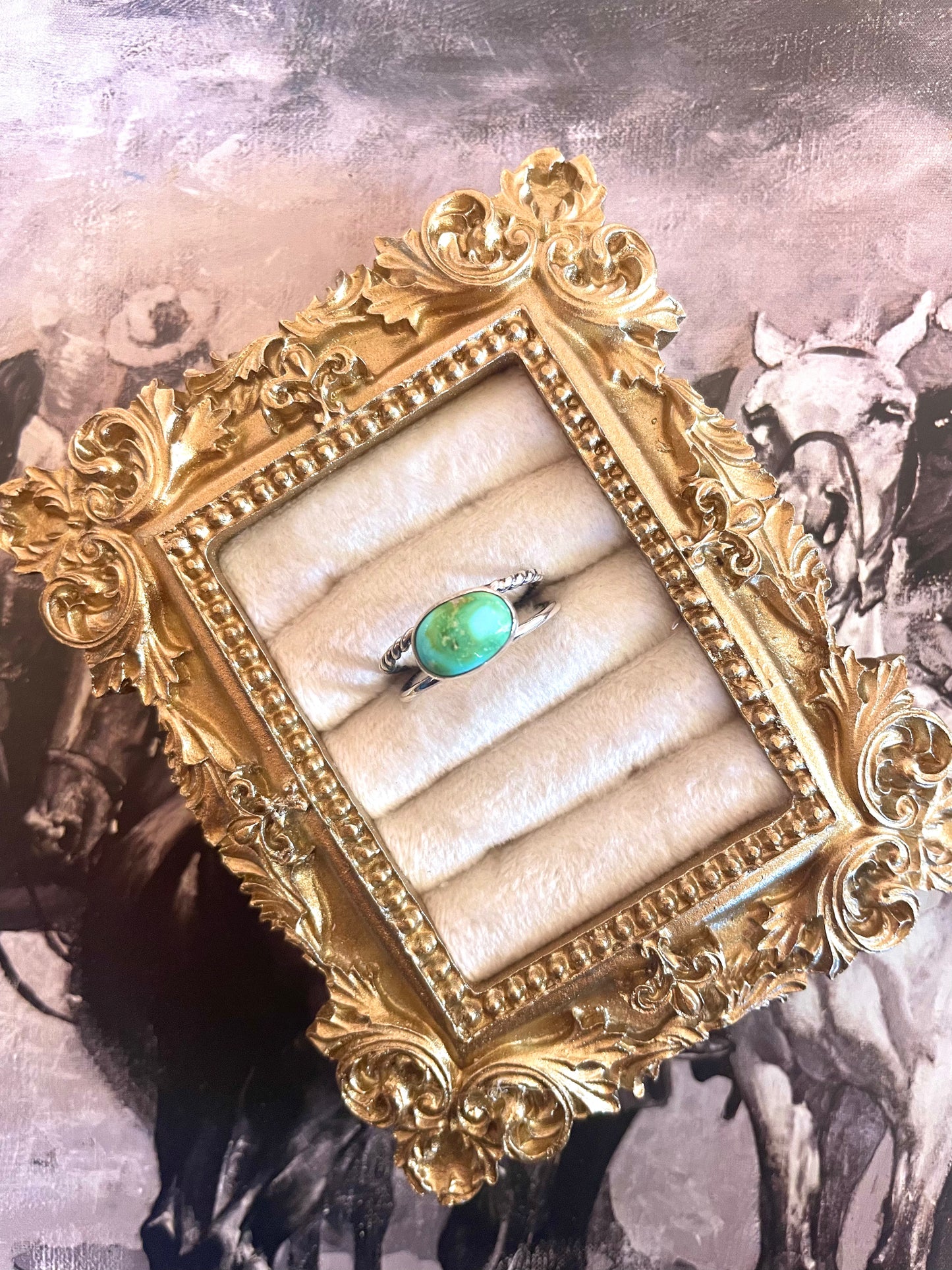 Sonoran double band ring