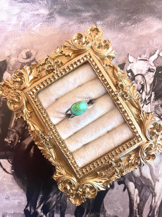 Sonoran double band ring